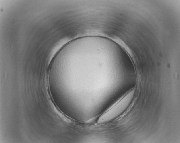 X0000072941006200608111556