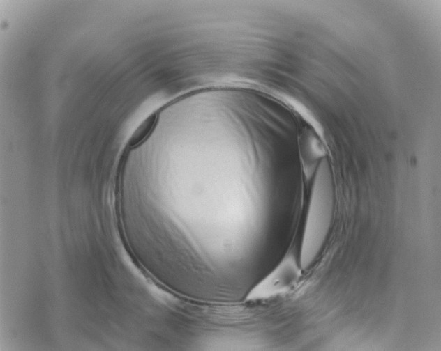 X0000072941007200608111556