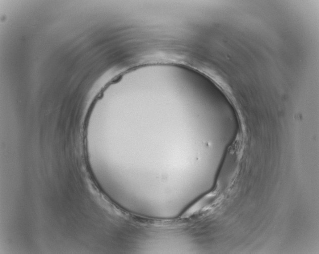 X0000072941008200608111556