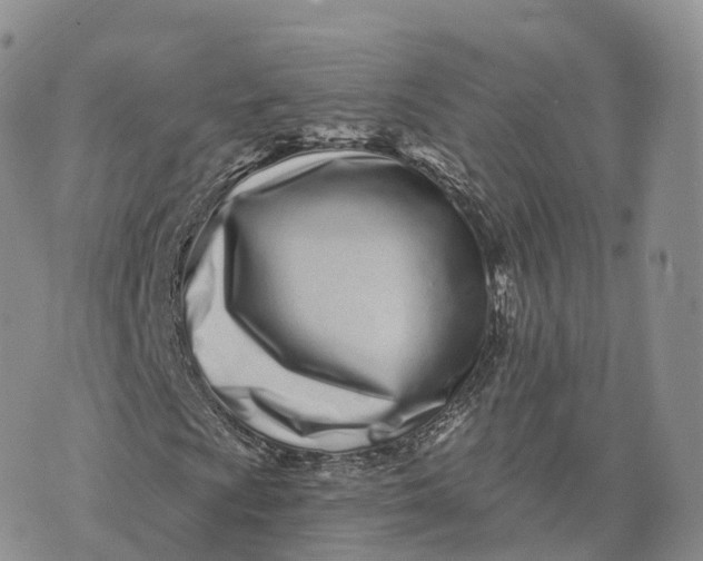 X0000072941009200608111555