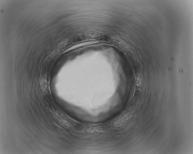 X0000072941011200608111555