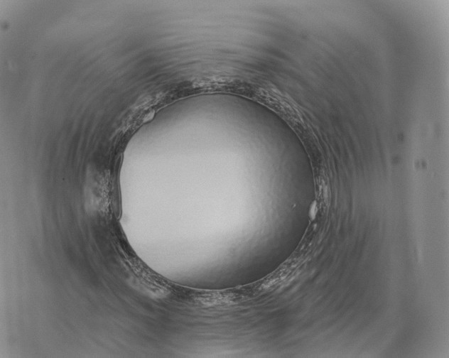 X0000072941012200608111555