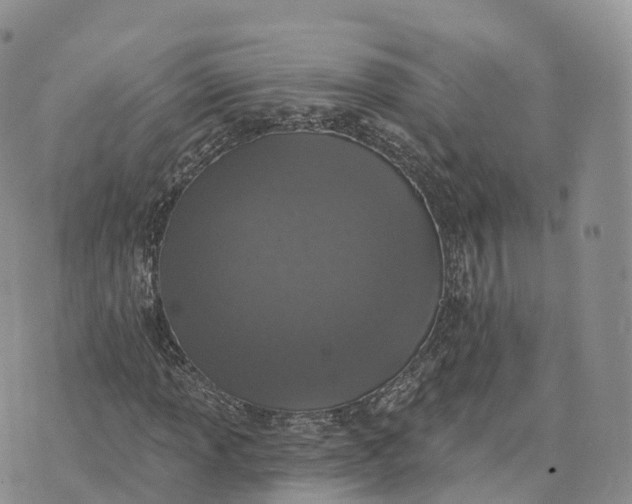 X0000072941013200608111555