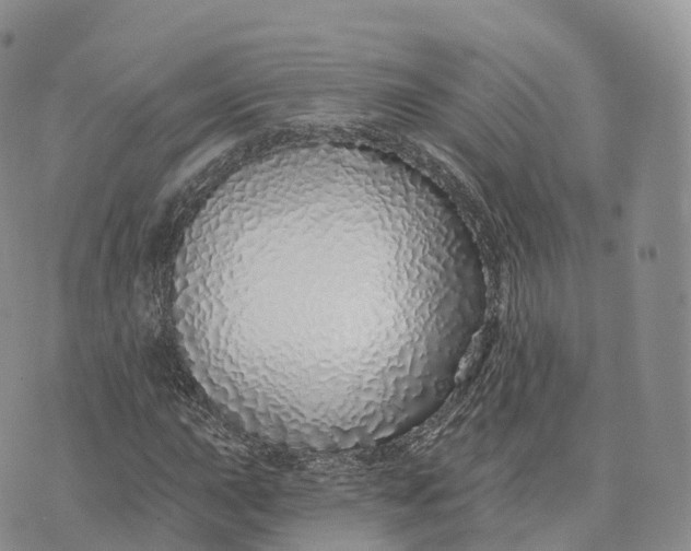 X0000072941015200608111555