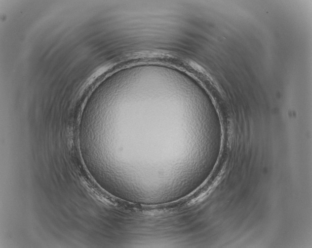 X0000072941017200608111555