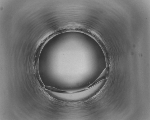 X0000072941018200608111555