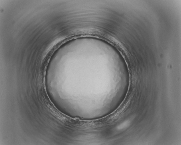 X0000072941019200608111555