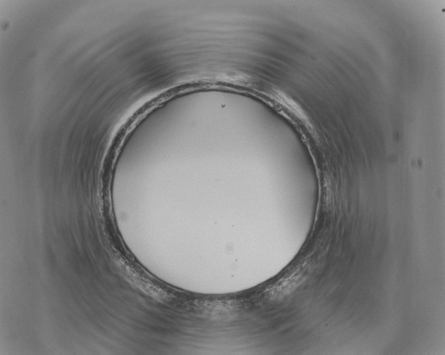 X0000072941020200608111555