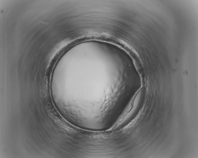 X0000072941021200608111555