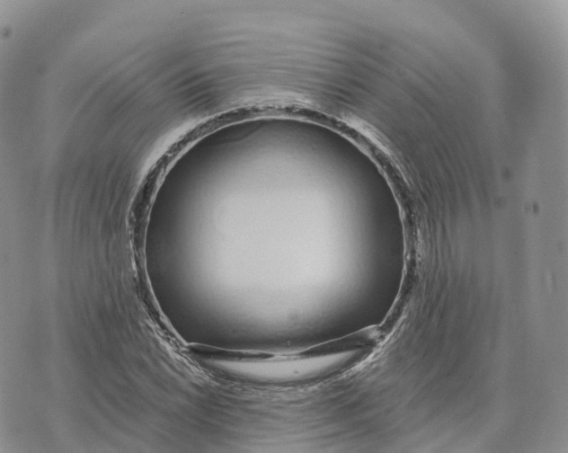 X0000072941022200608111555