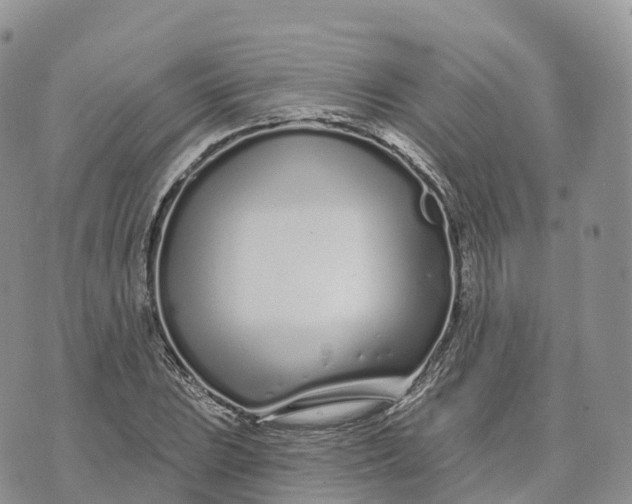 X0000072941023200608111555