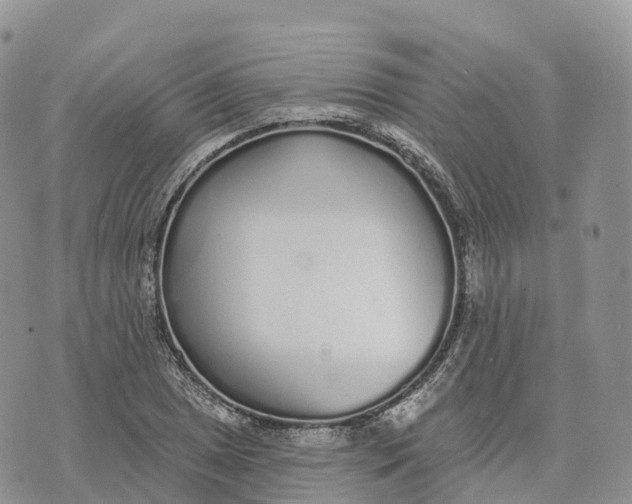 X0000072941025200608111555