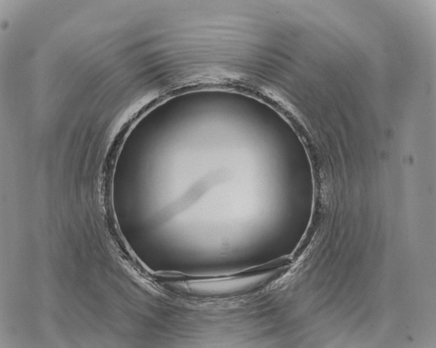 X0000072941026200608111555