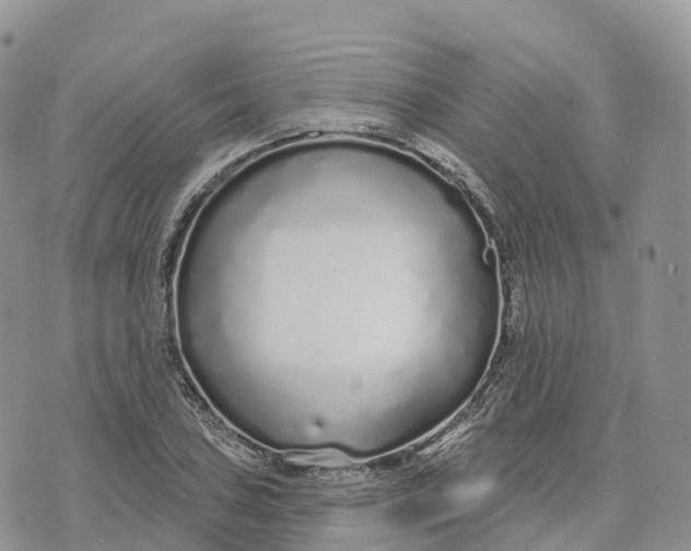 X0000072941027200608111555