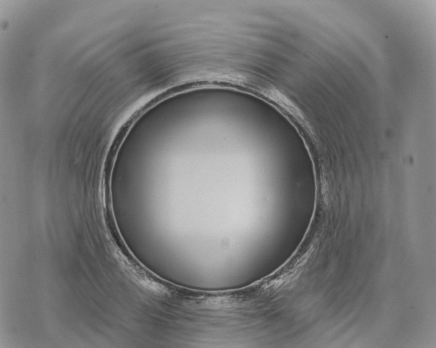 X0000072941028200608111555