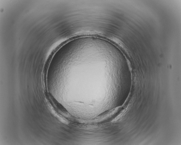 X0000072941030200608111555