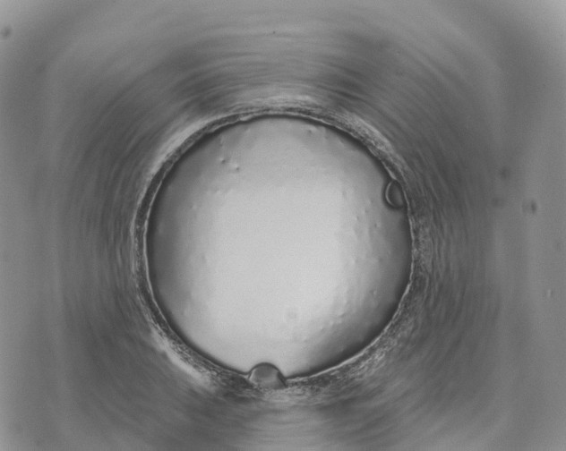 X0000072941031200608111555