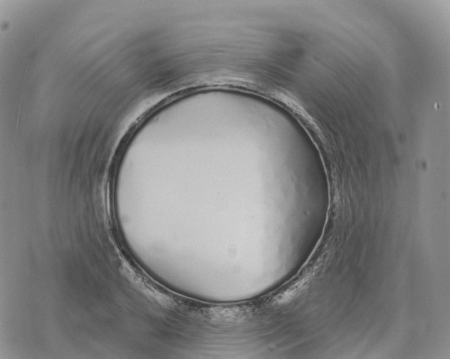 X0000072941032200608111555