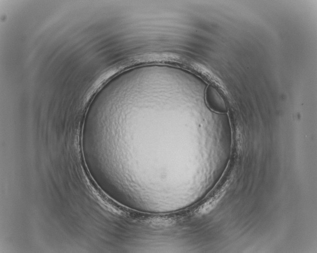 X0000072941033200608111555