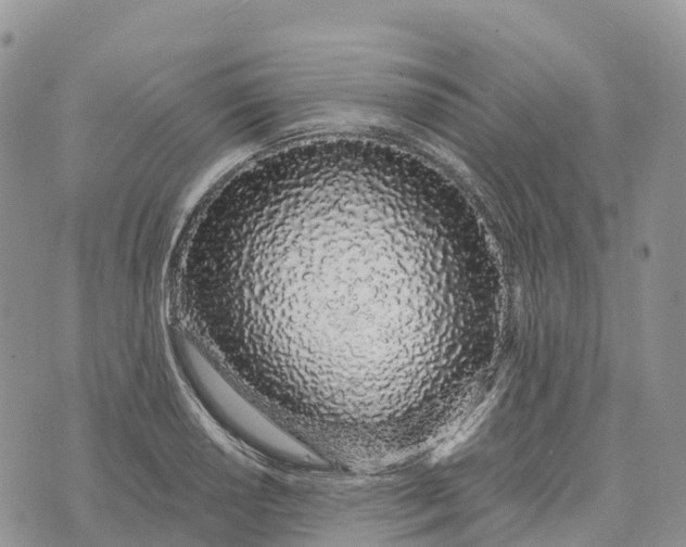 X0000072941034200608111555