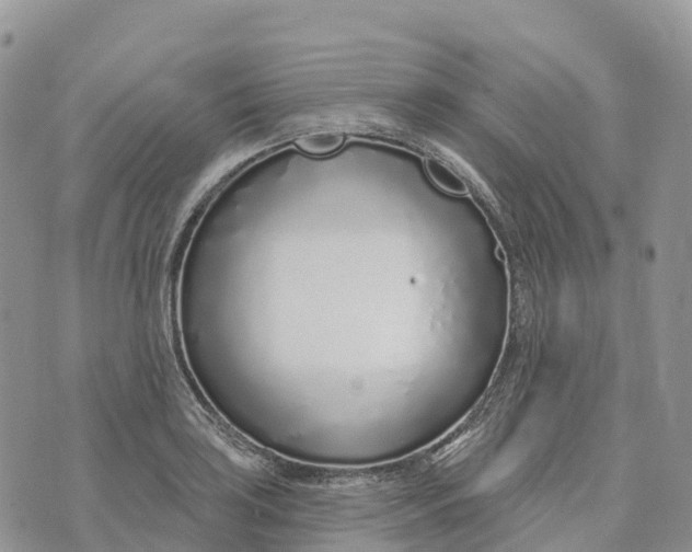 X0000072941035200608111555