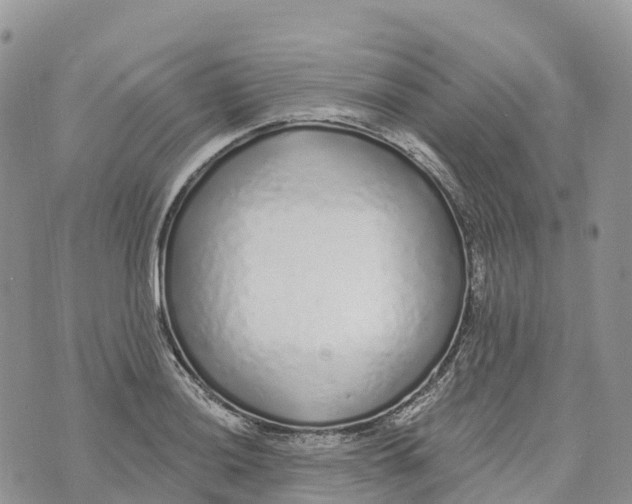 X0000072941036200608111555