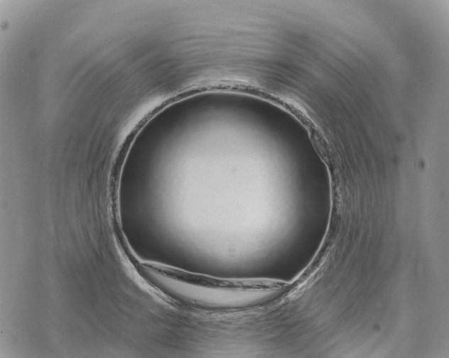 X0000072941038200608111555