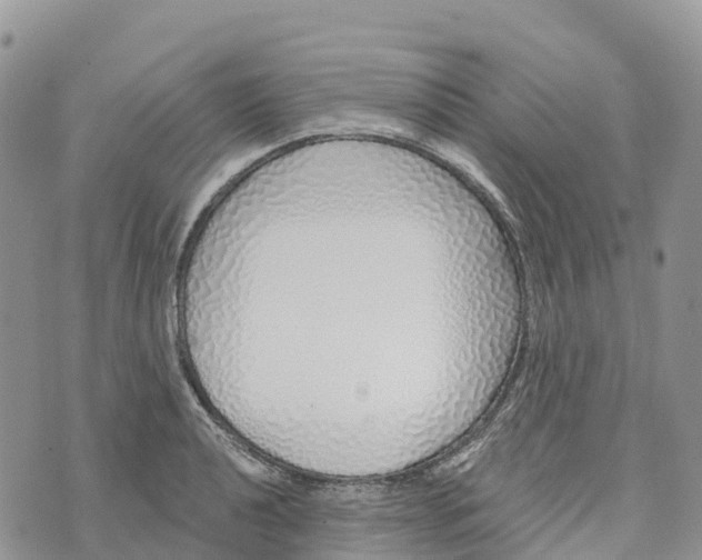 X0000072941040200608111555