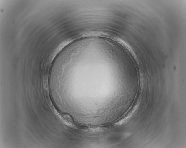 X0000072941041200608111555