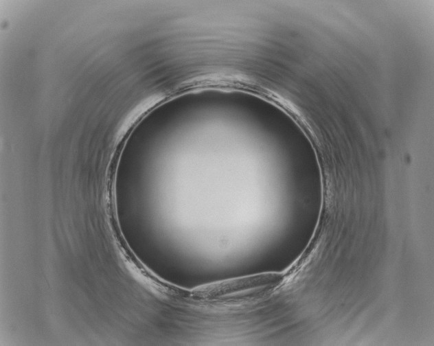 X0000072941042200608111555