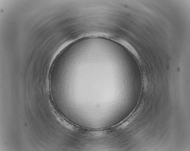 X0000072941044200608111555