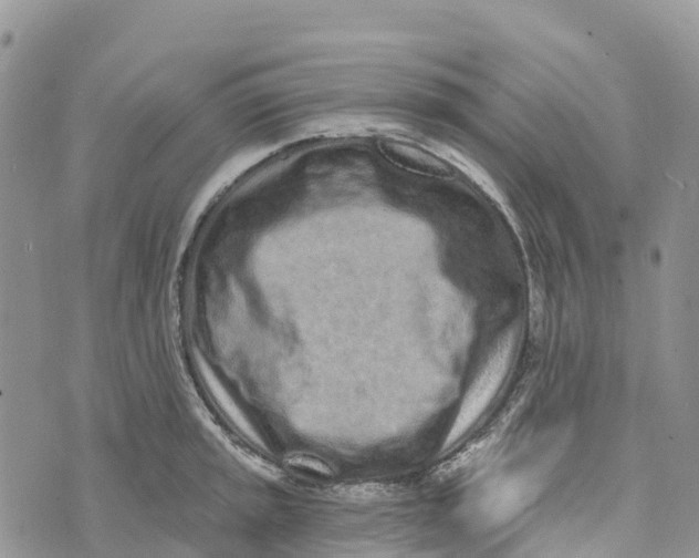 X0000072941045200608111555