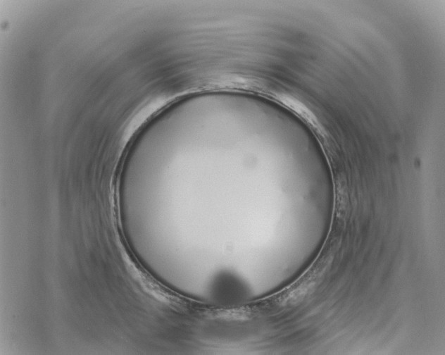 X0000072941047200608111555