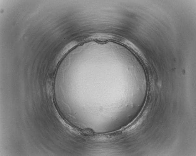 X0000072941049200608111555