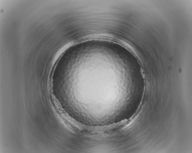 X0000072941050200608111555