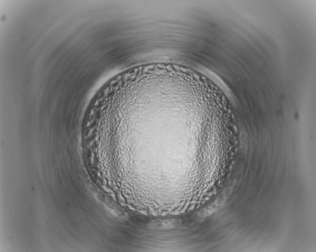 X0000072941051200608111555