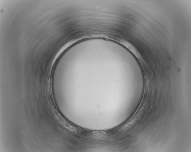 X0000072941052200608111555