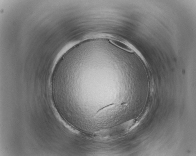 X0000072941053200608111555