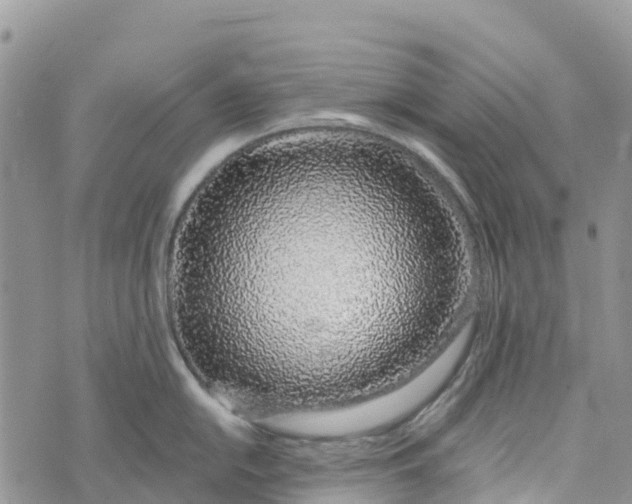 X0000072941054200608111555