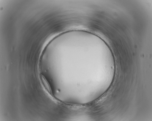 X0000072941056200608111555