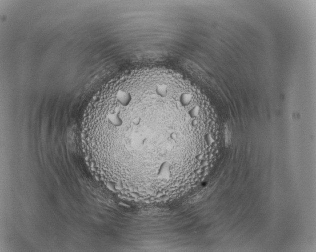 X0000072941059200608111555