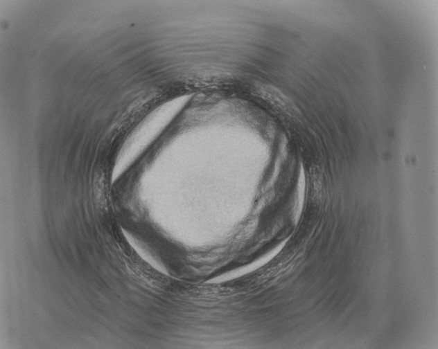 X0000072941060200608111555