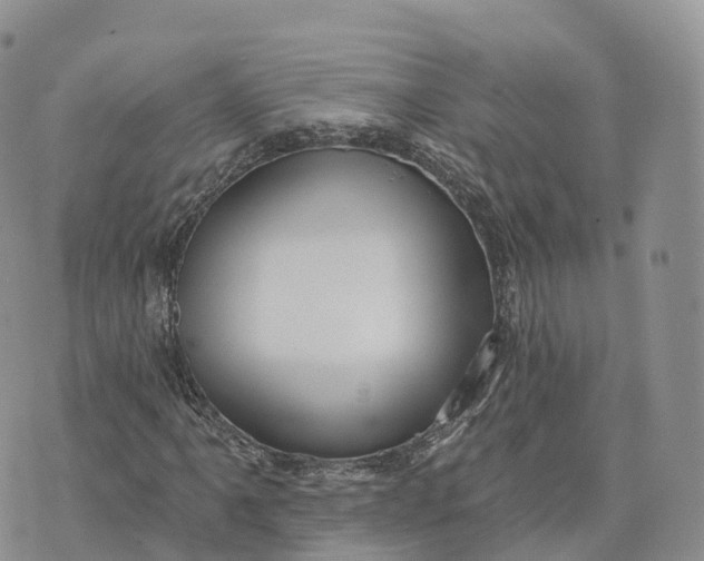 X0000072941061200608111555