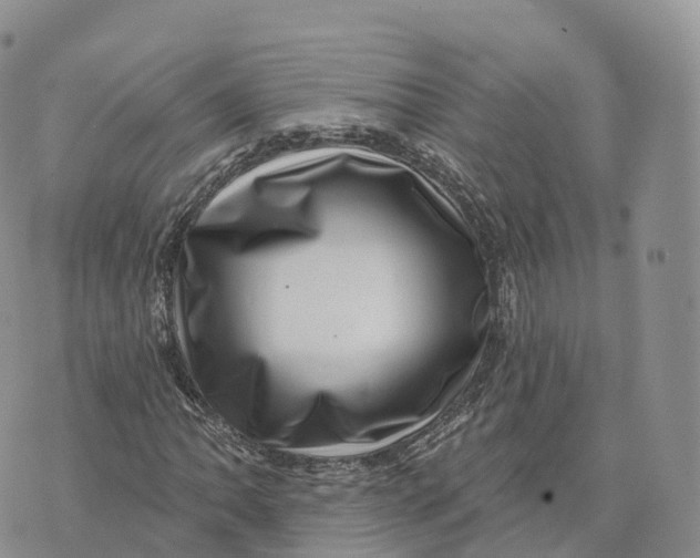 X0000072941062200608111555