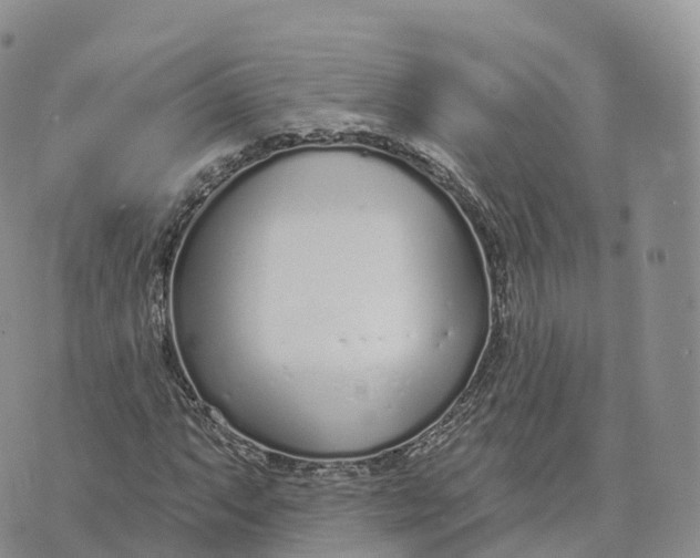 X0000072941063200608111555