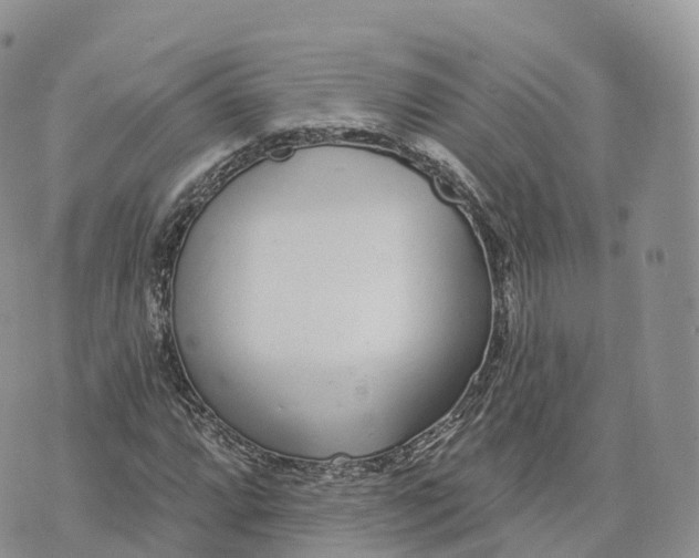 X0000072941064200608111555