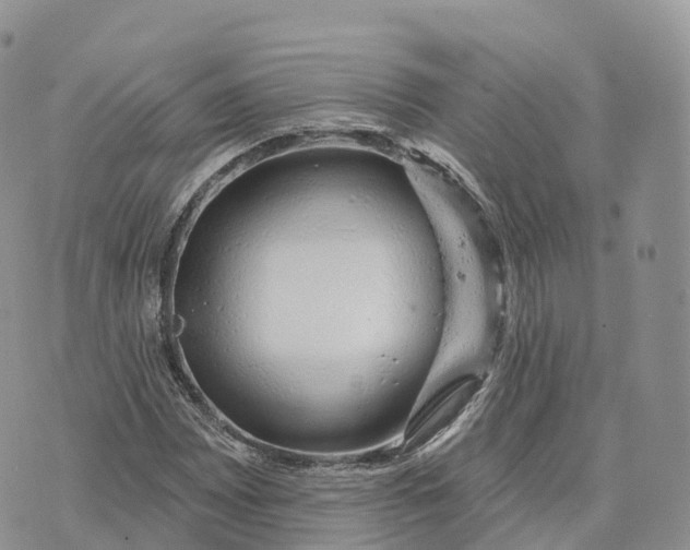 X0000072941065200608111555