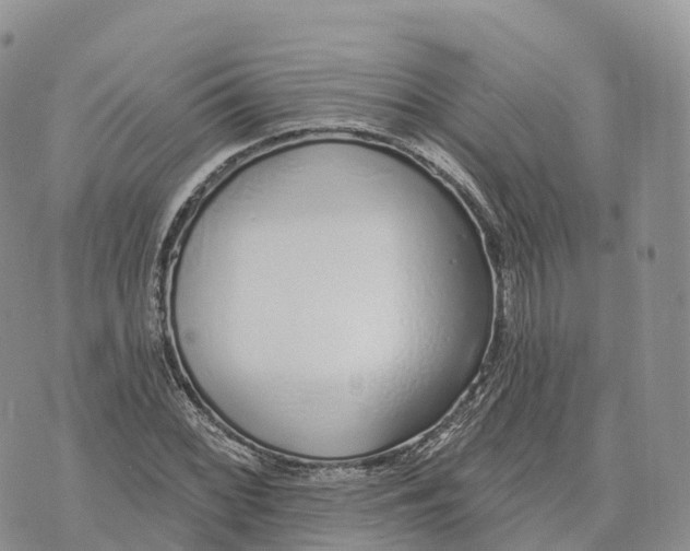 X0000072941068200608111555