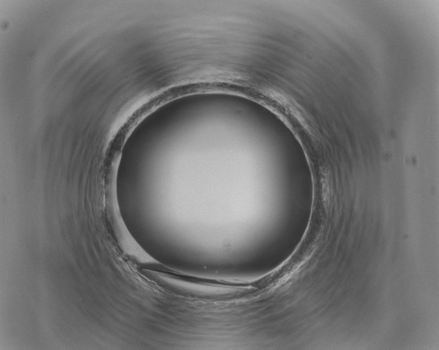 X0000072941069200608111555