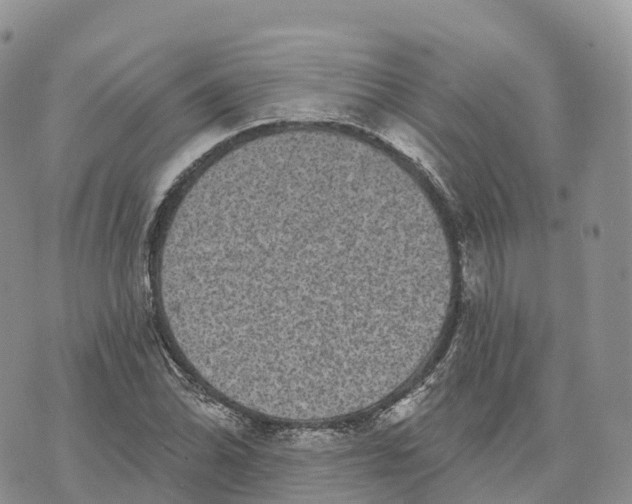 X0000072941070200608111555